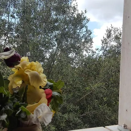 Apartament Antico Borgo *